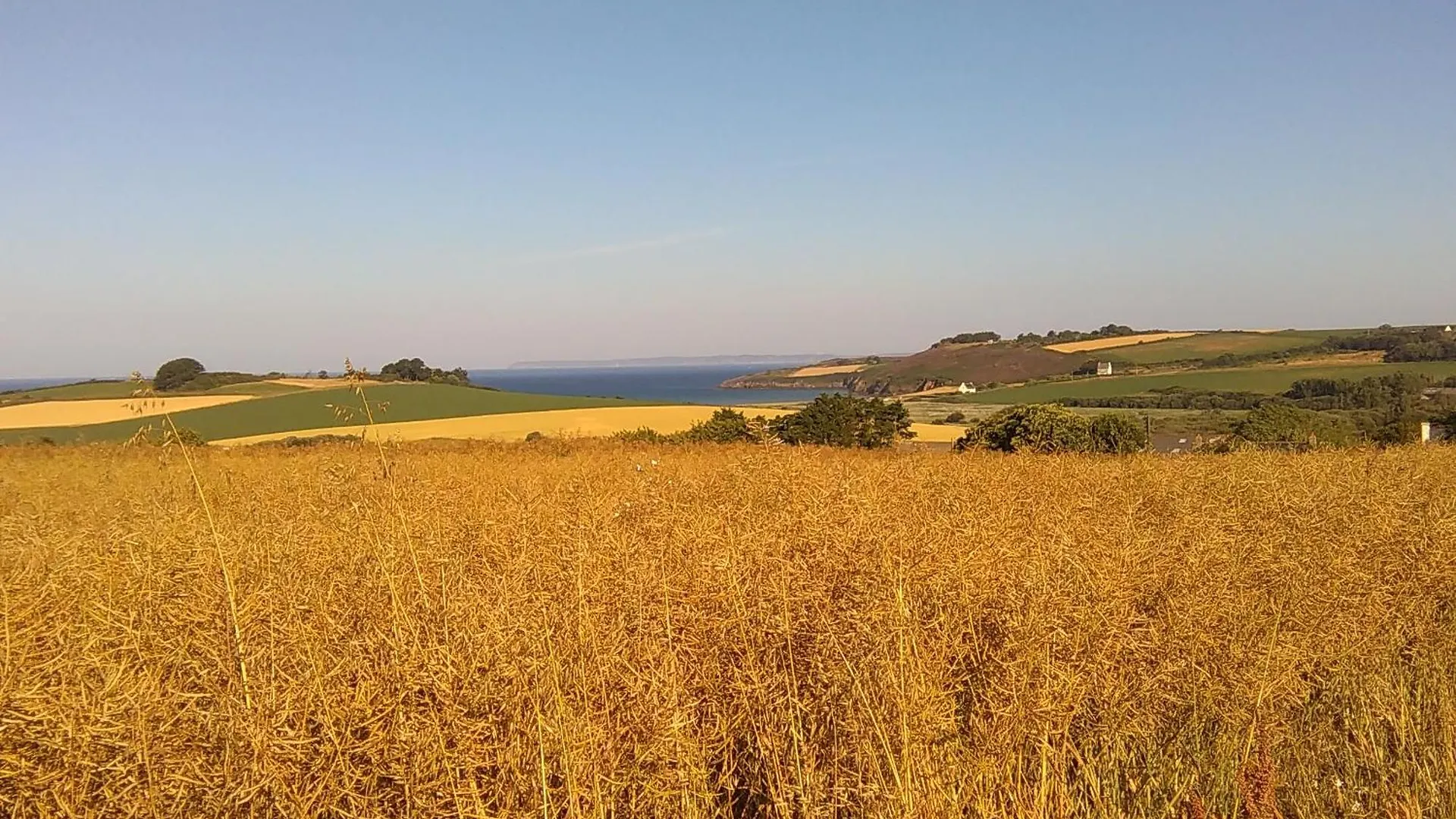 Villa Finistere Proche Plage Ploeven